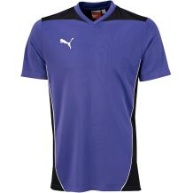 NOWA MĘSKA KOSZULKA PUMA FOUNDATION TRAINING TEE TEAM VIOLET/ BLACK ROZMIAR S