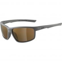 OKULARY PRZECIWSŁONECZNE ALPINA DEFEY MOONGREY MATT BLACK / SZKŁA CM BRONCE Cat.3
