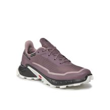 NOWE DAMSKIE BUTY SALOMON ALPHACROSS 5 GTX W MOONSCAPE ROZMIAR 38 2/3- 24CM