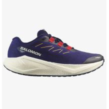 NOWE MĘSKIE BUTY SALOMON AERO BLAZE 3 GRVL ASTRAL AURA ROZMIAR 44 - 28CM