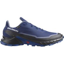 NOWE MĘSKIE BUTY SALOMON ALPHACROSS 5 GTX BLUE PRINT ROZMIAR 42 2/3- 27CM