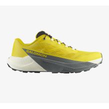 NOWE MĘSKIE BUTY SALOMON PULSAR INCABERRY/VENILLA ICE ROZMIAR 49 1/3 - 32CM