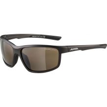 OKULARY PRZECIWSŁONECZNE ALPINA DEFEY TIN- MATT BLACK / SZKŁA CM BROWN Cat.3