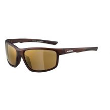 OKULARY PRZECIWSŁONECZNE ALPINA DEFEY BROWN TRANSPARENT/ SZKŁA CM GOLD Cat.3